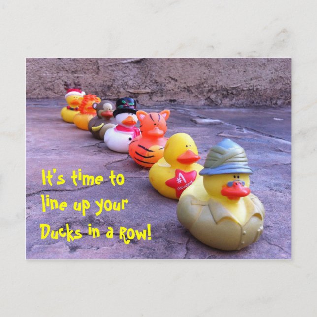 Es ist an der Zeit, Ihre Enten in einer Row-Postka Postkarte (Vorderseite)