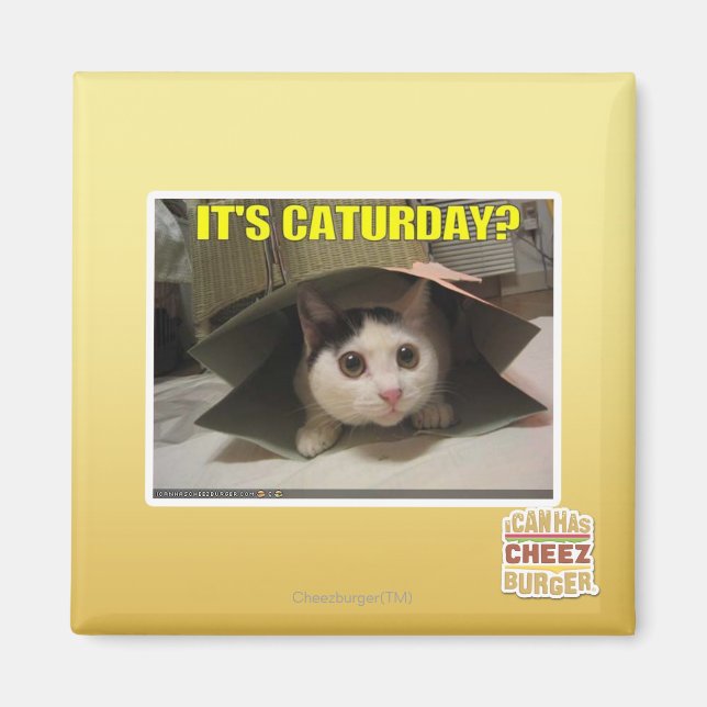 Es ist Caturday? Magnet (Vorne)