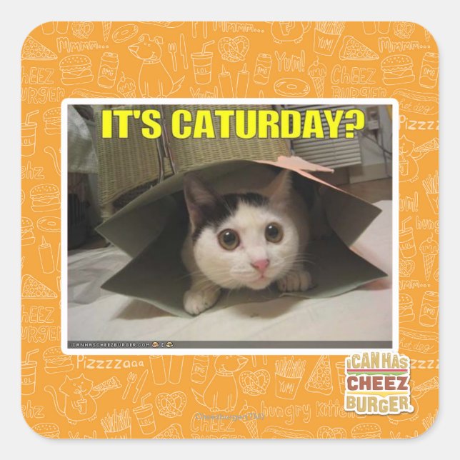 Es ist Caturday? Quadratischer Aufkleber (Vorderseite)