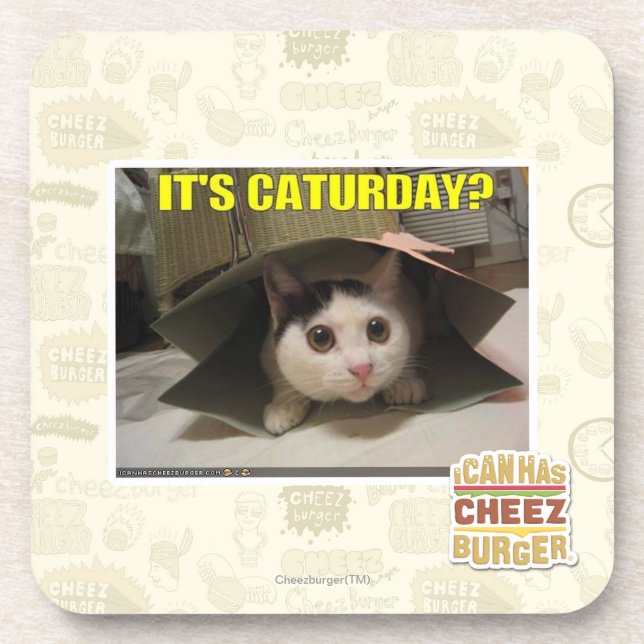 Es ist Caturday? Untersetzer (Vorderseite)