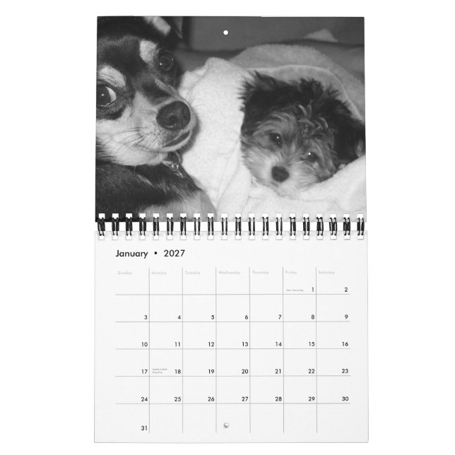 Es ist das Leben 2008 eines Hundes Kalender (Jan 2027)