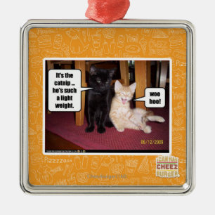 Es ist die Katzenminze Silbernes Ornament