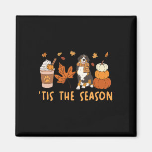 Es ist die Saison Berner Sennenhund Herbst Kürbis Magnet