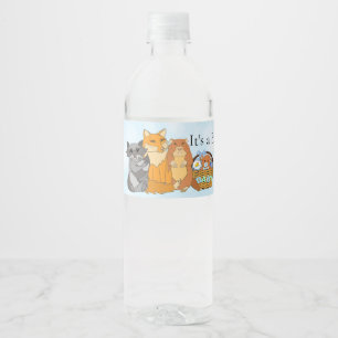 Es ist ein Baby Shower Woodland Creatures
