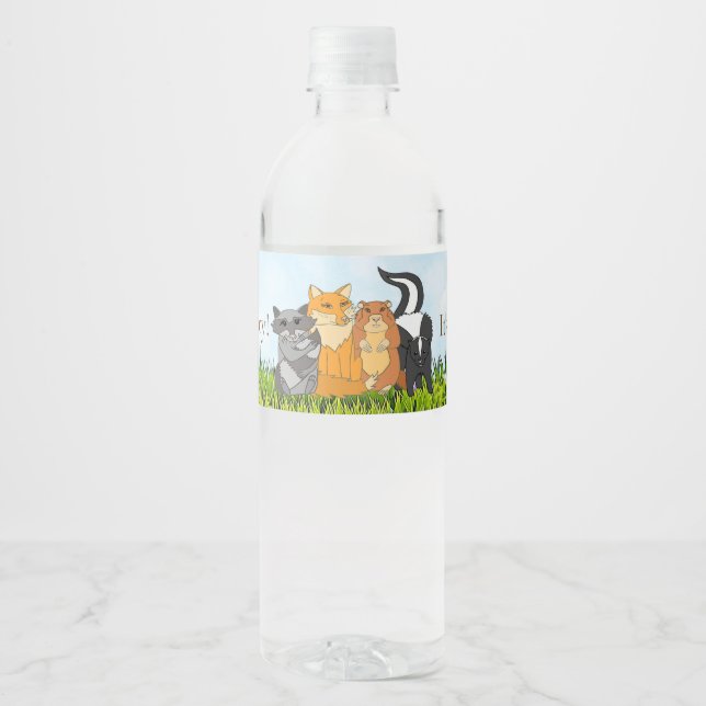 Es ist ein Baby Shower Woodland Creatures (Vorderseite)