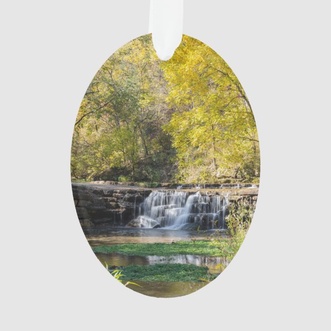 Es ist ein Dogwood-Wasserfall Ornament (Rückseite)