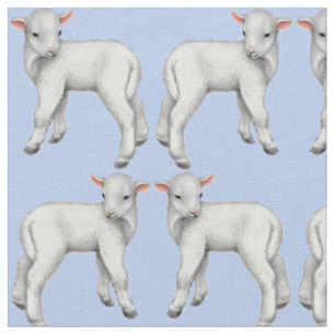 Es ist ein Jungen-kleines Baby-Lamm-Gewebe Stoff
