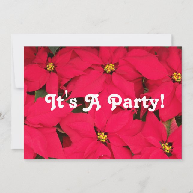Es ist ein Party Poinsettias Einladung (Vorderseite)