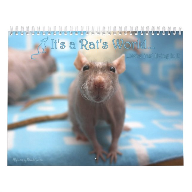 Es ist ein Rat-Weltkalender 2016 Kalender (Titelbild)