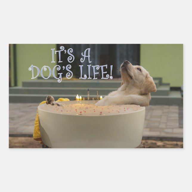 Es ist ein rechteckiger Aufkleber für Hunde (Vorderseite)