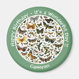 Es ist ein Schmetterling Geburtstag, Sammelstücke Magnet