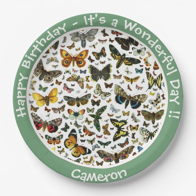 Es ist ein Schmetterling Geburtstag, Sammelstücke  Pappteller (Vorderseite)