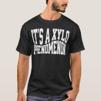Es ist ein Xylo-Phänomen Xylophonist