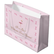 Es ist eine Girl Pink Flamingo Baby Dusche