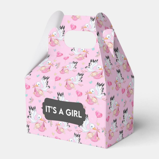 Es ist eine Girl Stork Baby Gevor Box Geschenkschachtel (Vorderseite)