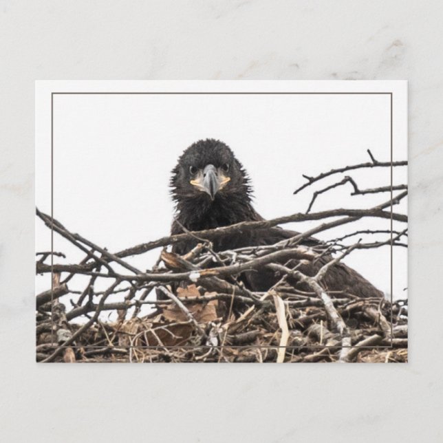 Es ist eine große neue Welt Postkarte (Vorderseite)