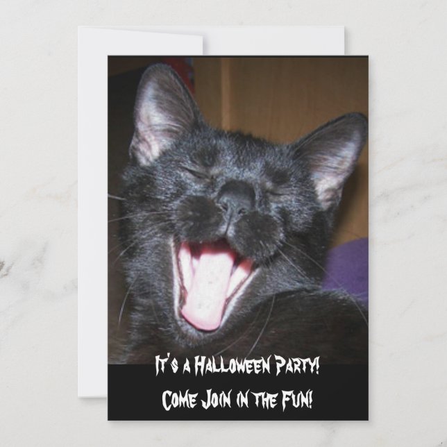 Es ist eine Halloween-Party Cat Einladung (Vorderseite)