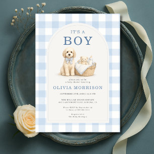 Es ist eine Jungen-Welpen-Hund-Gingham-Baby-Party Einladung