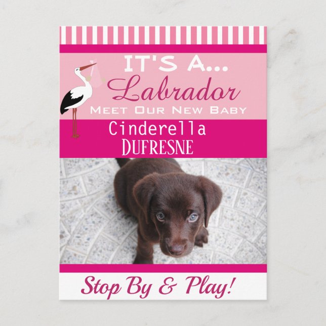 Es ist eine "New Pet"-Ankündigung Postkarte (Vorderseite)