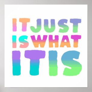 Es ist einfach so, wie es ist   Lustiger Spruch Poster