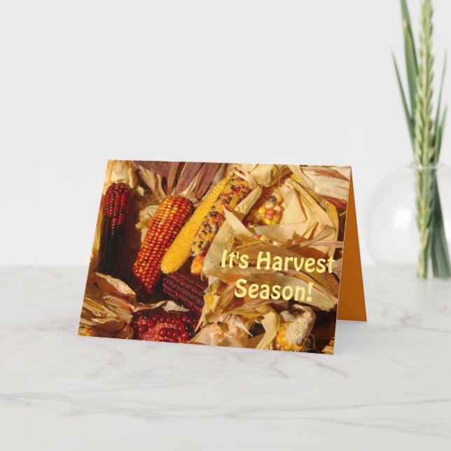 Es ist Erntezeit, Hübsche Herbststimmung Karte (Vorderseite)