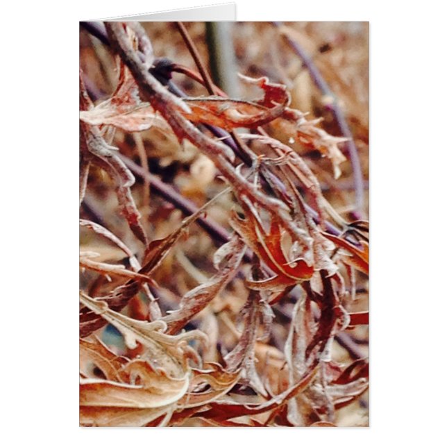 Es ist Herbst, ich denke an dich.. (Vorne)