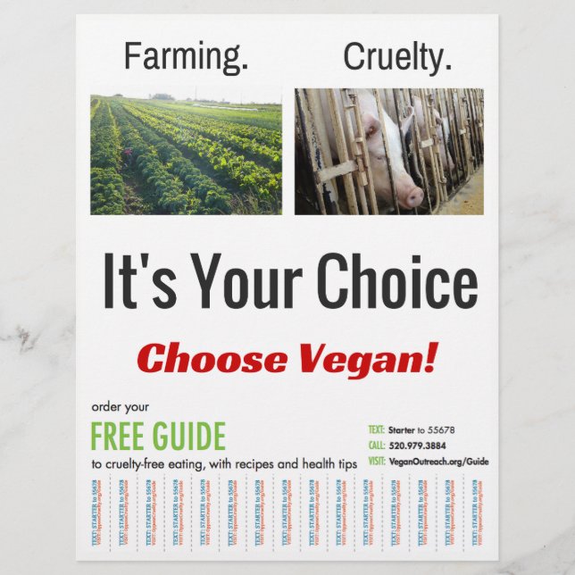 Es ist Ihre Wahl Flyer (Vorne)