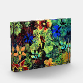 Es ist in den Farben Acrylblock Fotoblock