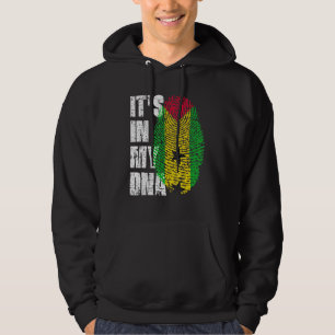 Es ist in meinem DNS Sao-Kuppel und Principitfahne Hoodie