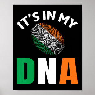 Es Ist In Meiner Dna Irland Irische Flagge Geschen Poster