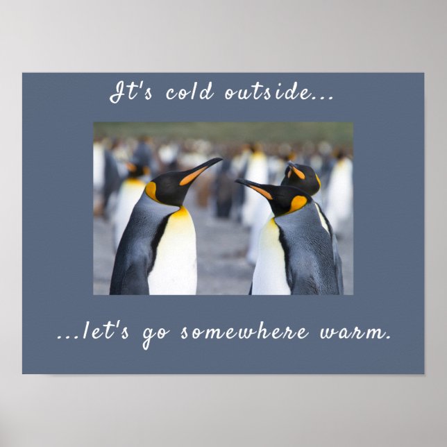 Es ist kalt außerhalb von King Penguin Foto mit Te Poster (Vorne)