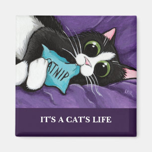 Es ist Katzen-Kunst-Magnet einer Katze des Leben-  Magnet