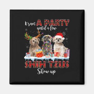 Es ist kein Party bis ein paar schicke Zucas Santa Magnet