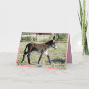 Es ist Mädchen! Begrüßungskarte für Baby Burro Ankündigung
