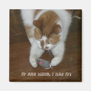 ES IST MEINS. I HAT ES! MAGNET