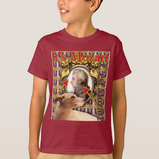 Es ist Mozart T-Shirt (Vorderseite)