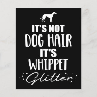 Es ist nicht Hundehaar, es ist Whippet-Hundefreund Flyer
