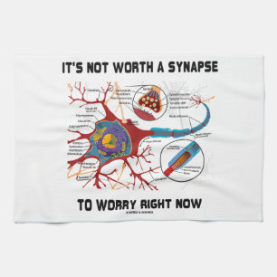 Es ist nicht wert eine Synapse, zum sich im Geschirrtuch
