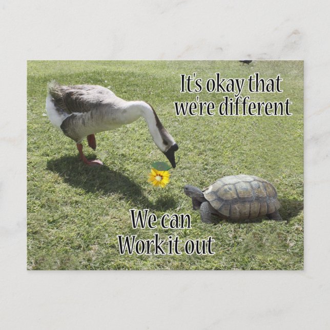 Es ist okay, dass wir anders sind, wir können es h postkarte (Vorderseite)