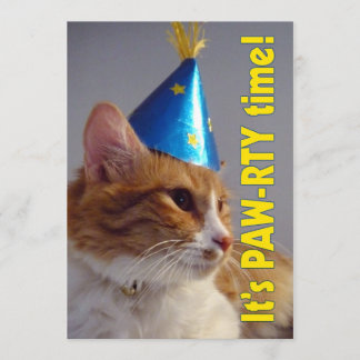 Es ist Paw-rty Time Cat - Einladung zum Geburtstag