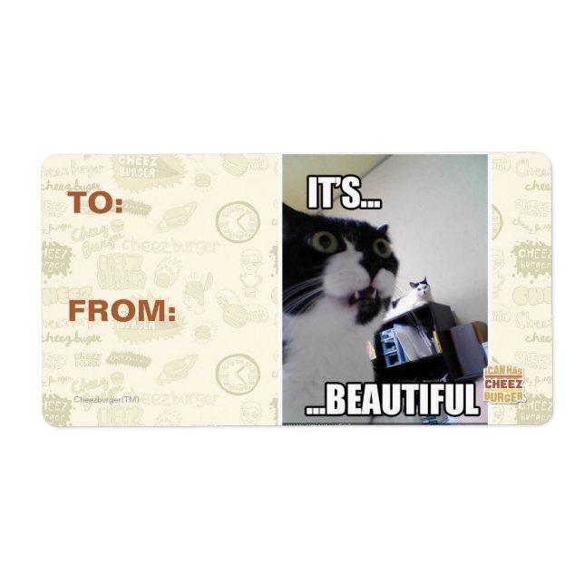 Es ist schön (Vorne)