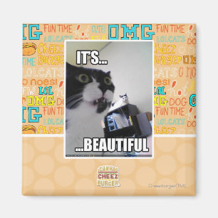 Es ist schön magnet