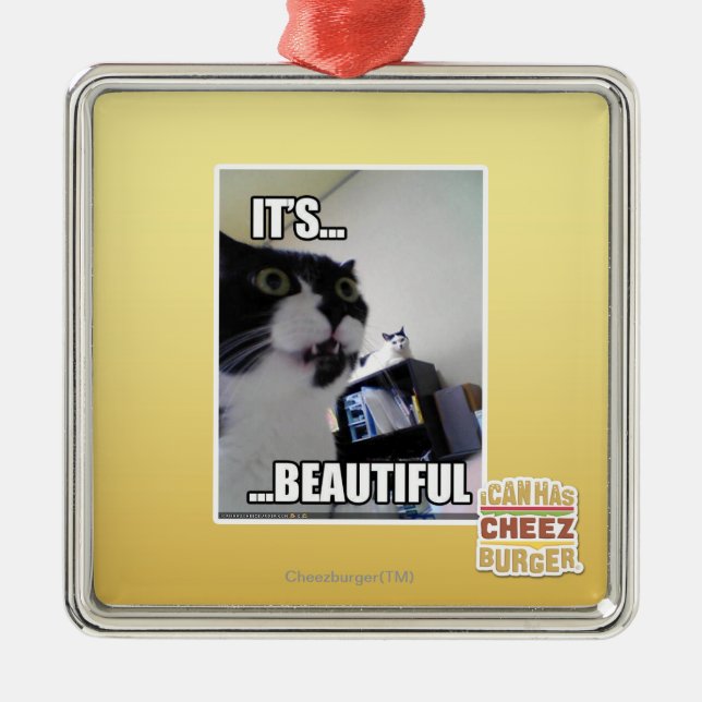 Es ist schön ornament aus metall (Vorne)