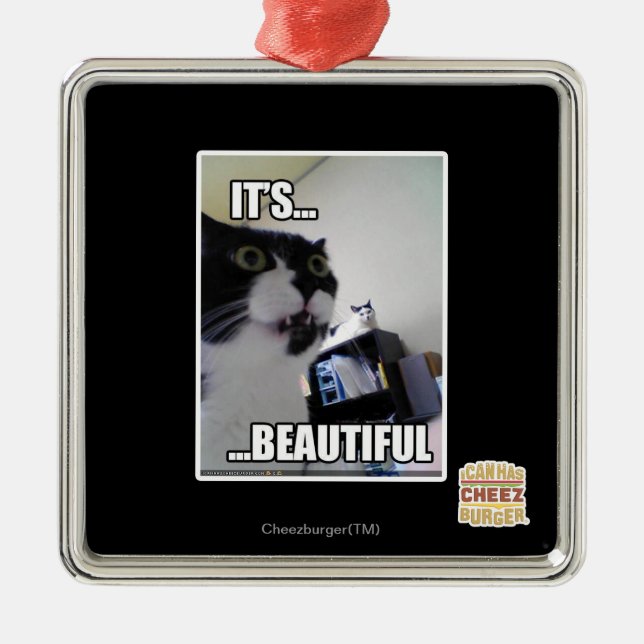 Es ist schön ornament aus metall (Vorne)