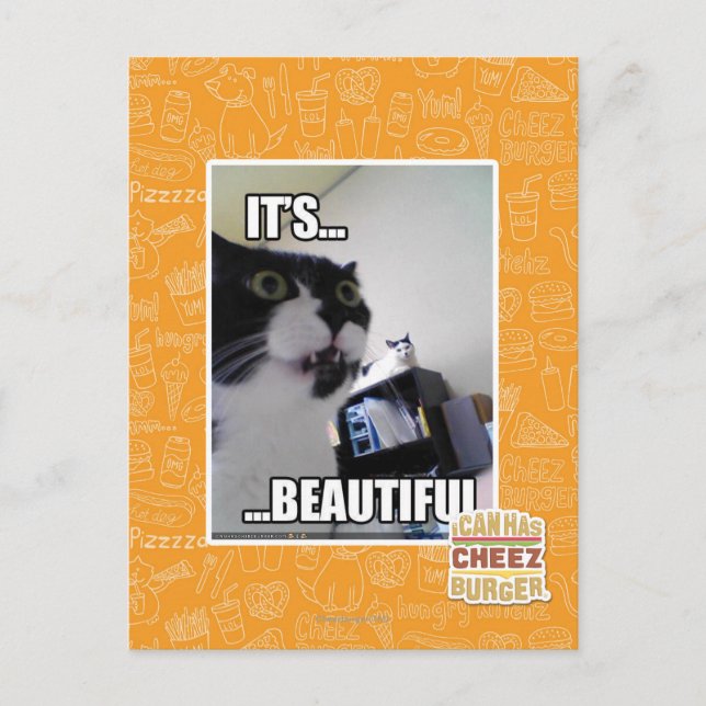 Es ist schön postkarte (Vorderseite)