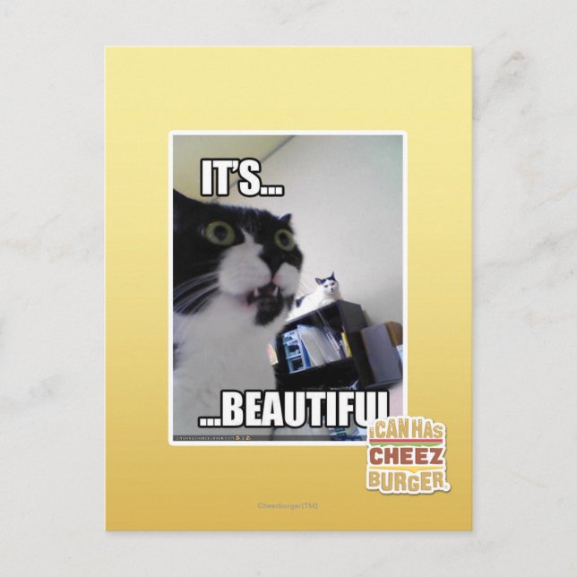 Es ist schön postkarte (Vorderseite)