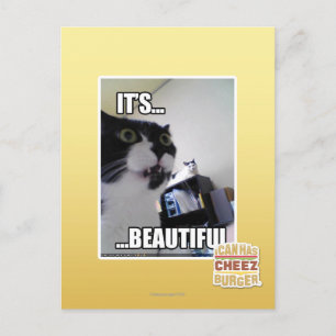 Es ist schön postkarte