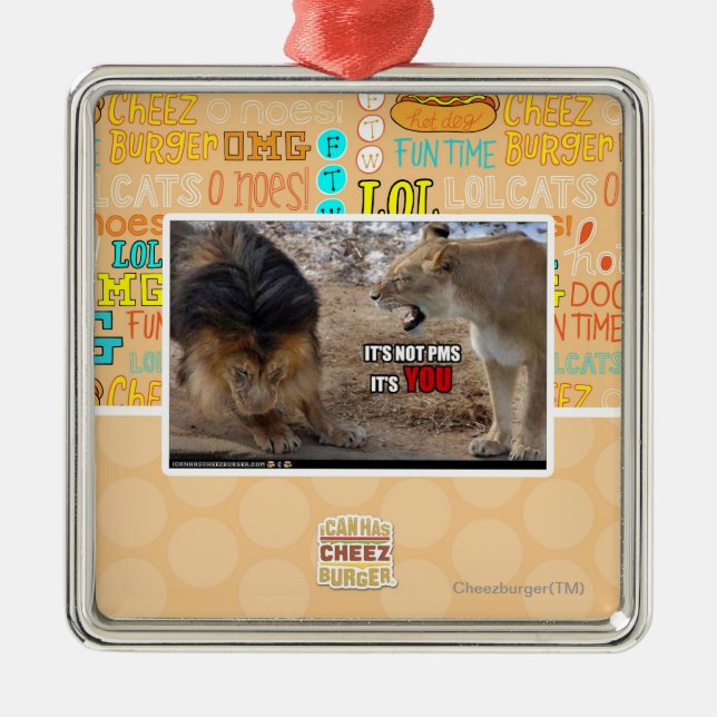 Es ist SIE! Silbernes Ornament (Vorne)