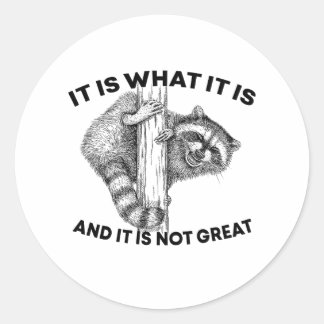 Es ist, was es ist, und es ist nicht groß Raccoon Runder Aufkleber