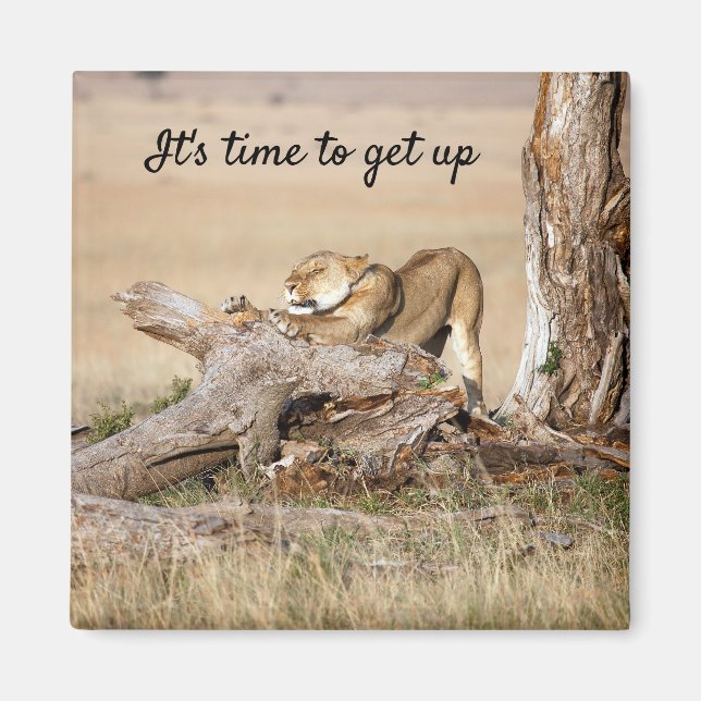 Es ist Zeit, Lion Foto mit Text aufzustehen Magnet (Vorne)